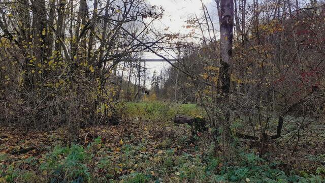 Bissle raus | Foto: Ralf Röser