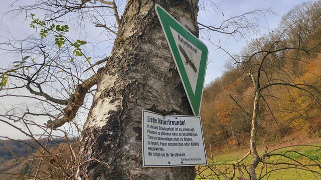 Sonntags früh🍁🍂🌞😍🌞🍂🍁 | Foto: Ralf Röser