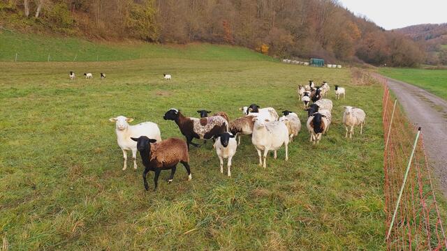 Sonntags früh🍁🍂🌞😍🌞🍂🍁 | Foto: Ralf Röser