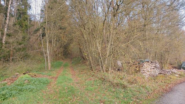 Sonntags früh🍁🍂🌞😍🌞🍂🍁 | Foto: Ralf Röser