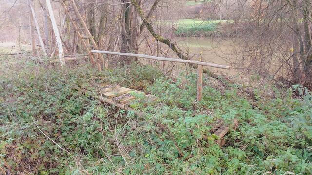 Sonntags früh🍁🍂🌞😍🌞🍂🍁 | Foto: Ralf Röser