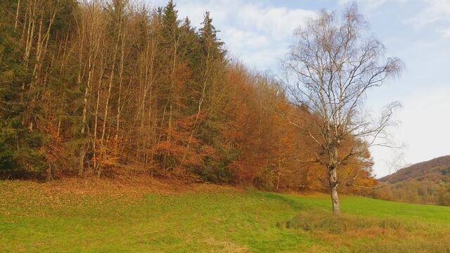 Sonntags früh🍁🍂🌞😍🌞🍂🍁 | Foto: Ralf Röser