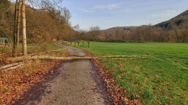 Sonntags früh🍁🍂🌞😍🌞🍂🍁 | Foto: Ralf Röser