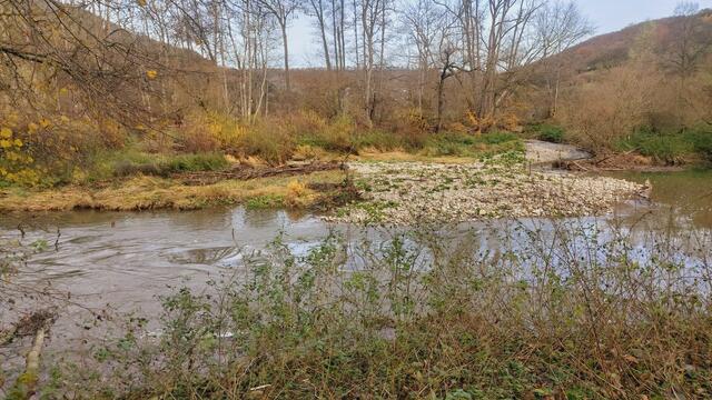Sonntags früh🍁🍂🌞😍🌞🍂🍁 | Foto: Ralf Röser