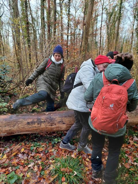 Ob mit oder ohne Hilfestellung - die Baumstämme wurden flugs überwunden. | Foto: Foto privat