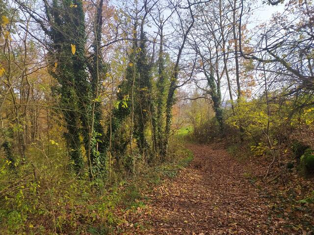 Weiter geht's nach der Pause.  | Foto: sigischlottke
