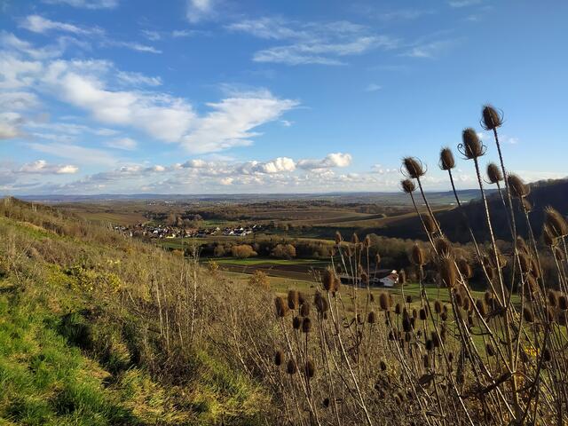 Ausblicke über das Land und den Stromberg
(Bild von der Vorwanderung ein paar Tage vorher).  | Foto: sigischlottke