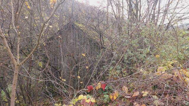 Sonntags früh🍁🍂🌞😍🌞🍂🍁 | Foto: Ralf Röser