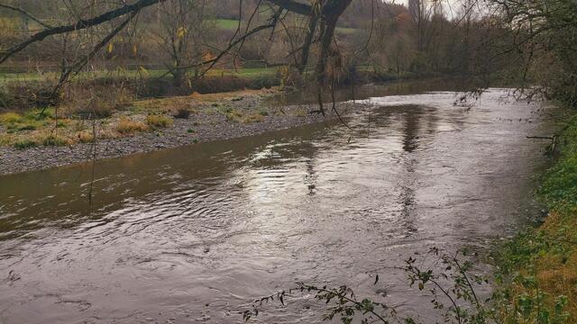 Sonntags früh🍁🍂🌞😍🌞🍂🍁 | Foto: Ralf Röser
