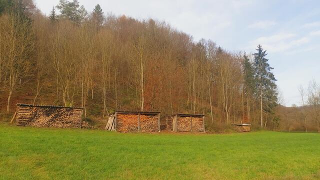 Sonntags früh🍁🍂🌞😍🌞🍂🍁 | Foto: Ralf Röser