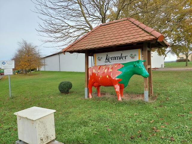 Auch eine Kuh kann darauf hinweisen, dass hier im Frühjahr Erdbeeren geerntet werden. | Foto: Foto privat