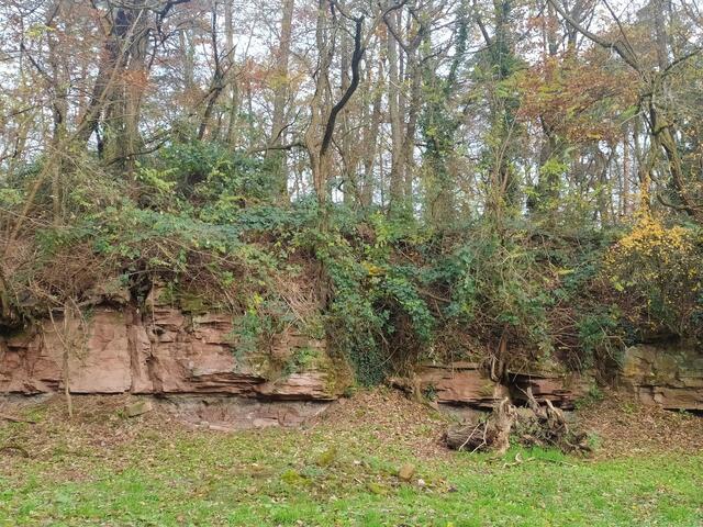 Hier sieht man ganz gut die Sandsteinschichten.  | Foto: sigischlottke