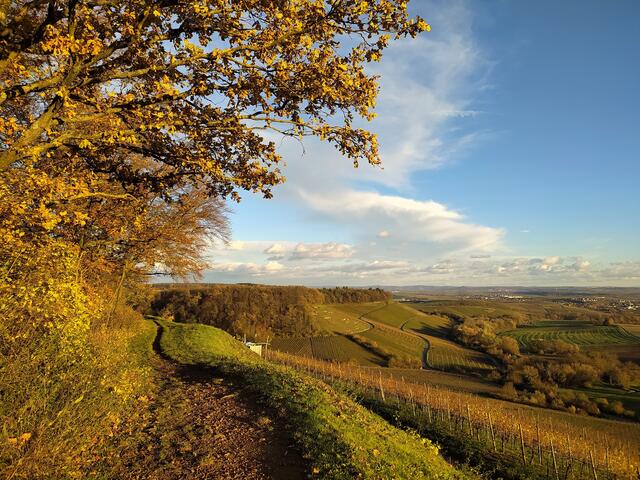 Auf dem Panoramapfad geht's zurück zum Parkplatz. 
 | Foto: sigischlottke