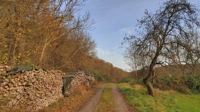Sonntags früh🍁🍂🌞😍🌞🍂🍁 | Foto: Ralf Röser