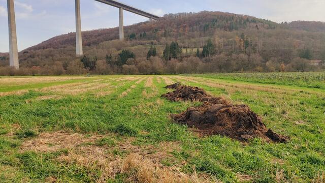 Sonntags früh🍁🍂🌞😍🌞🍂🍁 | Foto: Ralf Röser