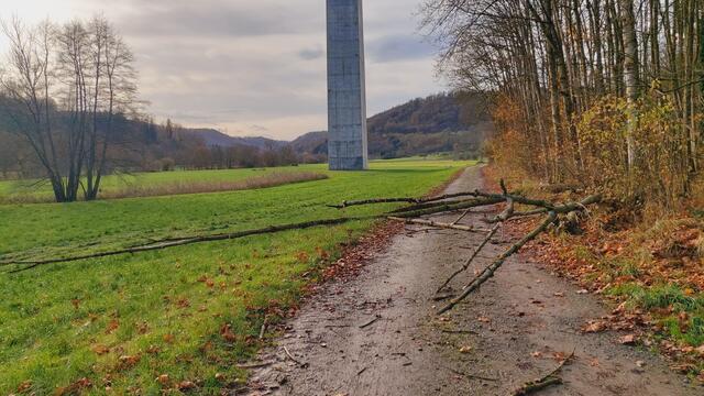 Sonntags früh🍁🍂🌞😍🌞🍂🍁 | Foto: Ralf Röser