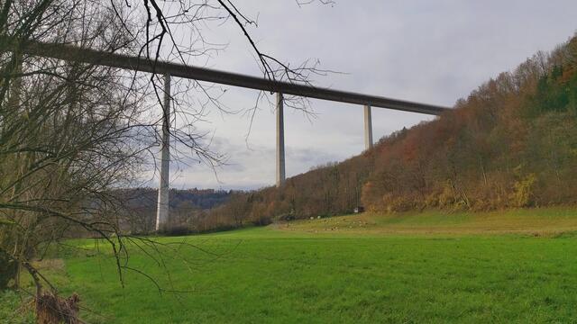 Sonntags früh🍁🍂🌞😍🌞🍂🍁 | Foto: Ralf Röser