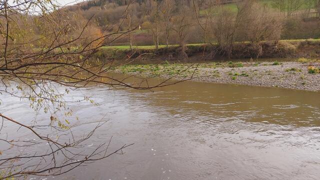 Sonntags früh🍁🍂🌞😍🌞🍂🍁 | Foto: Ralf Röser