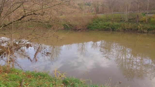 Sonntags früh🍁🍂🌞😍🌞🍂🍁 | Foto: Ralf Röser