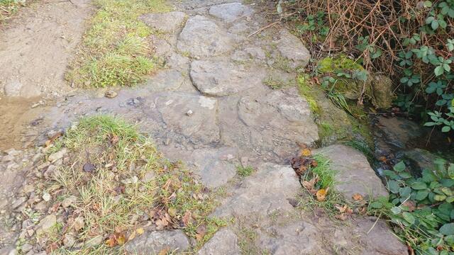 Sonntags früh🍁🍂🌞😍🌞🍂🍁 | Foto: Ralf Röser