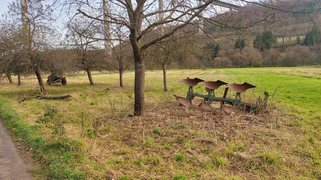 Sonntags früh🍁🍂🌞😍🌞🍂🍁 | Foto: Ralf Röser