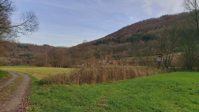 Sonntags früh🍁🍂🌞😍🌞🍂🍁 | Foto: Ralf Röser