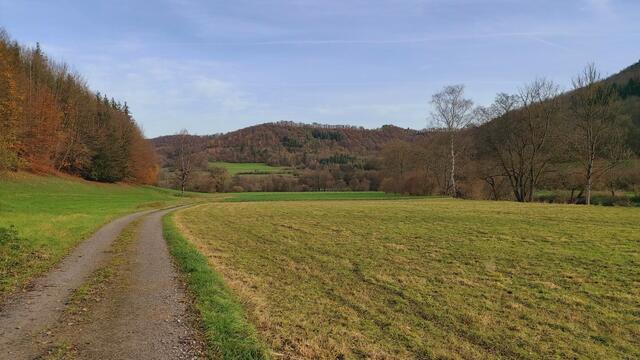 Sonntags früh🍁🍂🌞😍🌞🍂🍁 | Foto: Ralf Röser