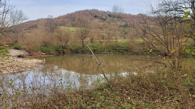 Sonntags früh🍁🍂🌞😍🌞🍂🍁 | Foto: Ralf Röser