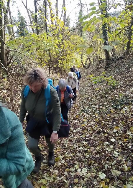 Durch den steilen Hohlweg hinauf - puuuh, da kommt man schon in's Schwitzen und Schnaufen.  | Foto: sigischlottke