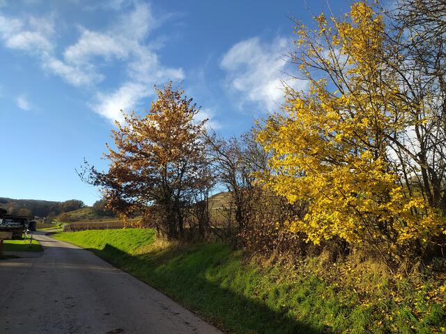 Aus Haberschlacht geht's hinaus und unterhalb der Weinberge weiter.  | Foto: sigischlottke