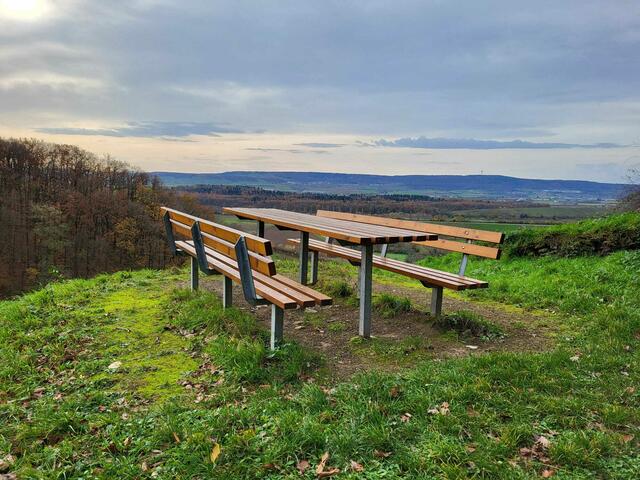 Das wäre auch ein toller Picknickplatz hoch oben am Zweifelberg | Foto: Petra Schüssler