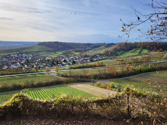 Und genau dorthin schauen wir.  | Foto: Petra Schüssler