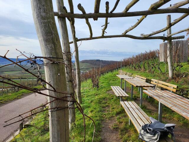Das hier wird unser erster Pausenplatz. Die Veranda unter Weinreben gehört zum Weinausschank am Zweifelberg.  | Foto: Petra Schüssler