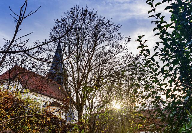 Kirche in Cleebronn bei Sonnenuntergang | Foto: ehw