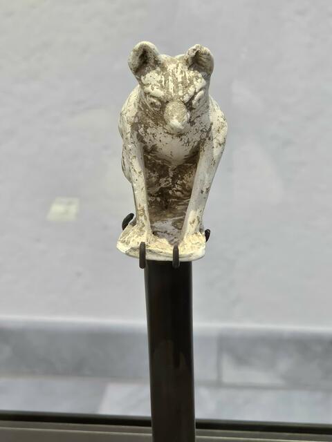 Foto: Helga El-Kothany