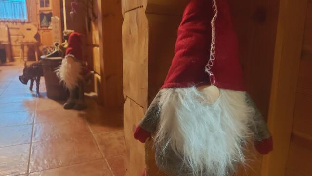 Weihnachten kommt🎄🎄, juhu😍 | Foto: Ralf Röser