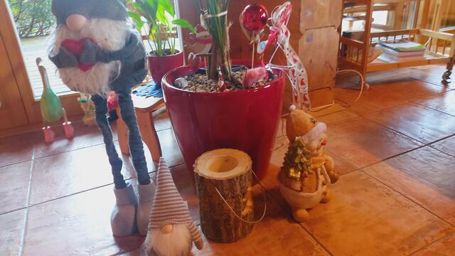 Weihnachten kommt🎄🎄, juhu😍 | Foto: Ralf Röser