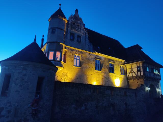 Die Burg bei Nacht | Foto: Daniela Somers