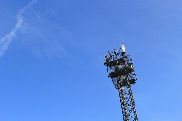 guter Empfang | Foto: Ralf Röser