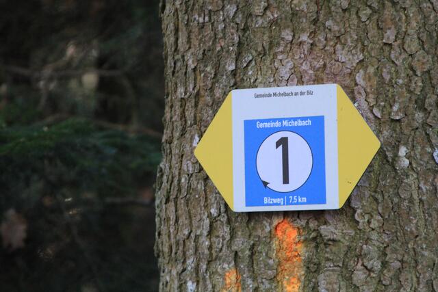 Info | Foto: Ralf Röser