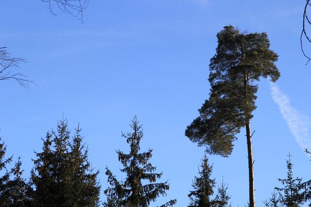 oben | Foto: Ralf Röser