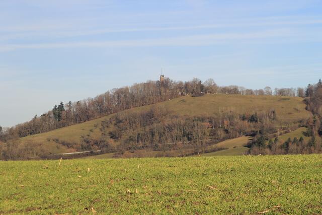 Einkorn in Sicht | Foto: Ralf Röser