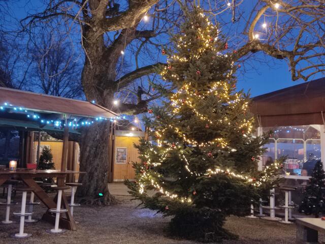 Weihnachtsbaum am Biergarten | Foto: Daniela Somers