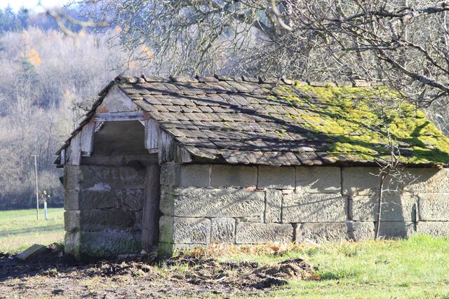so schön- das sollte gerichtet werden | Foto: Ralf Röser