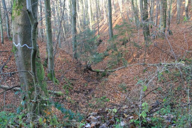 cool | Foto: Ralf Röser