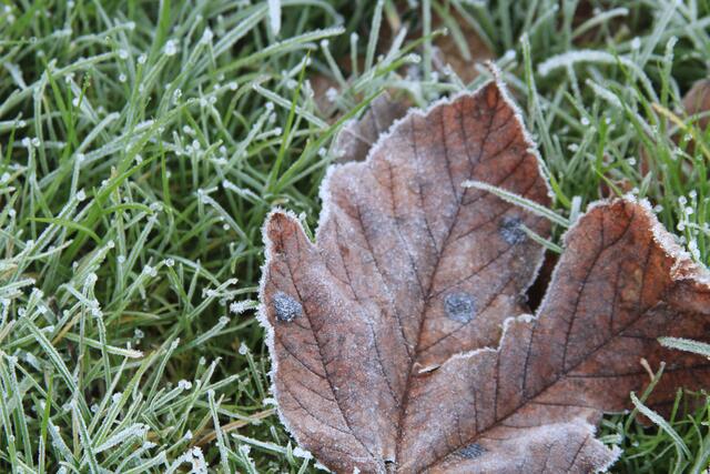 Frostig | Foto: Ralf Röser