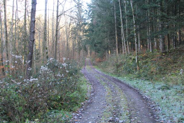 und weiter | Foto: Ralf Röser