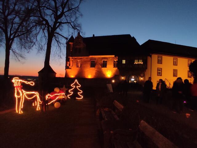 Die Burg bei Nacht | Foto: Daniela Somers