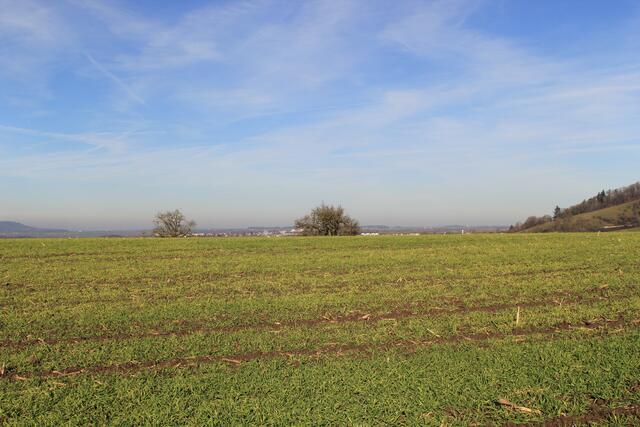 Ausblicke | Foto: Ralf Röser