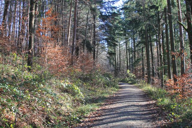 und weiter | Foto: Ralf Röser